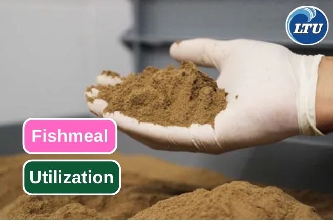 8 Uses of Fishmeal in Various Field